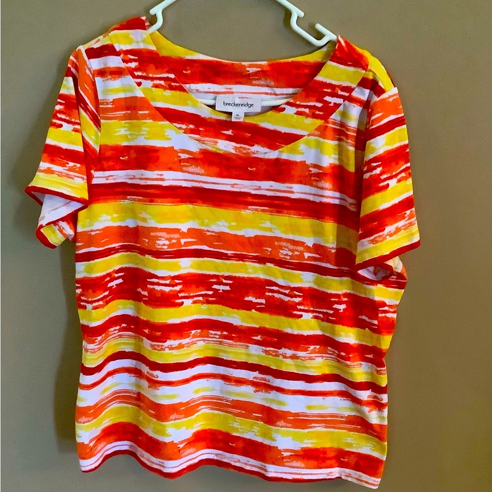 Breckinridge XL short sleeved top with a round neck